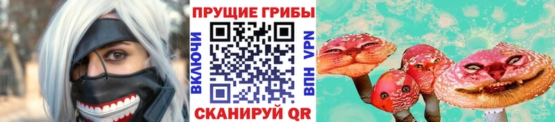 Купить закладки  Буинск  Галлюциногенные грибы Psilocybe 